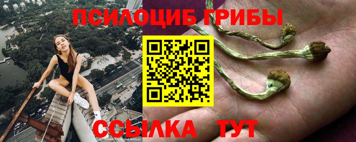 Галлюциногенные грибы MAGIC MUSHROOMS  Галлюциногенные грибы Psilocybe  Саянск  Вход с VPN 